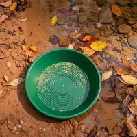 img of Gold Panning in Georgia: Dahlonega and Beyond